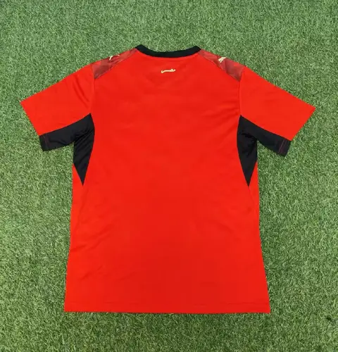 Egypt home — 2026/27
